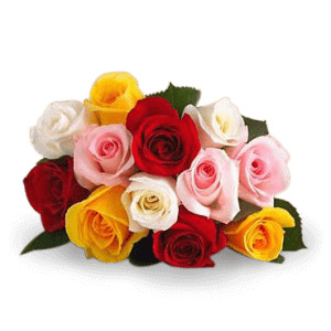 Envio y venta de flores ,rosas, plantas,arreglos florales ,regalos y desayunos a domicilio con delivery gratis en la Ciudad Autonoma de Buenos Aires y con costo de envo en localidades del Gran Buenos Aires asi como delivery de flores y plantas a travs de florerias asociadas en todas las provincias de la Argentina, Buenos Aires, la Pampa, Tucuman, La Rioja, Ro Negro, Entre Rios, Corrientes, Misiones, Neuquen, Chubut, Tierra del Fuego, Santa Cruz, San Luis, Mendoza, Cordoba, Jujuy, Formosa, Santiago del Estero, Salta, Chaco, Catamarca ,San Juan, y ademas realizamos el delivery de flores ,coronas,palmas , plantas y regalos a todas las ciudades de Argentina, Mar del Plata, Crdoba, Buenos Aires, con cargo en Santa Rosa, La Plata, Bella Vista, Neuquen, Pilar, Paran, Posadas, Resistencia, Cipolleti y mas de 300 ciudades y localidades en todo el territorio de nuestro pas, asi como tambien tenemos la posibilidad de enviar flores a casi todo el mundo en cuestion de horas
